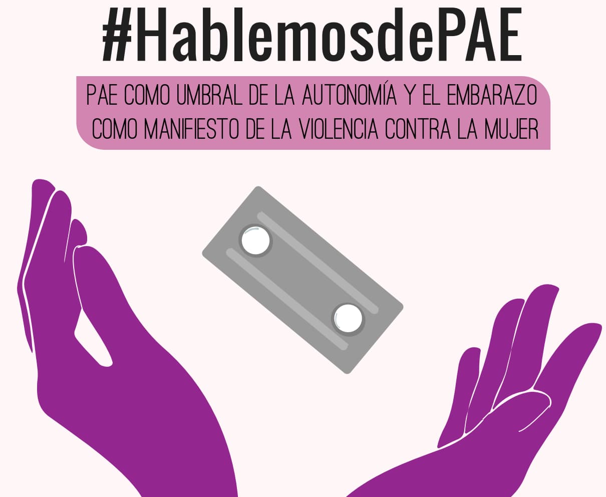 violencia contra la mujer en Honduras PAE, autonomía femenina, derechos reproductivos, embarazo no deseado, violencia contra la mujer, anticonceptivos, feminismo, derechos humanos, salud reproductiva